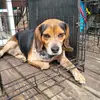 Landon Warren - @landon.warren68 - TikTok