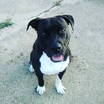 Landon Warren - @butt_sniffa_bob - Instagram