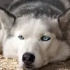 Landon Warren - @landon.warren5 - TikTok