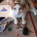 Landen Weigel - Facebook