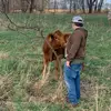 Landon Wellman - @landon.wellman33 - TikTok