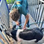 Landon winget - @landon_winget - Instagram