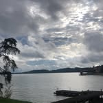 Lane Wingo - @landon_wingo2.0 - Instagram