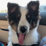 Landon Wise - @landonwise17 - Instagram