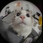 Landon Witt - @landonwitt79 - Instagram