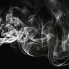 Landon Witt - @landon.witt1 - TikTok