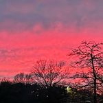 Landon Wolfe - @crazan_1566 - Instagram