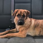 Landon Wray - @landon_wray78 - Instagram