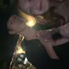 Landon Wray - @landon_wray - TikTok