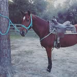 Landry Long - @landry_long - Instagram