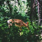 Landry Saunders - Facebook