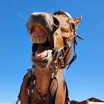 Jennifer Lane Abbott - @abbottwarden - Instagram