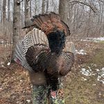 Lane Anderson - @laneanderson07 - Instagram