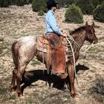 Lane Armstrong - @stayinyourlane12 - Instagram