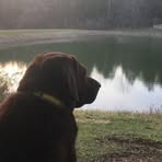 Lane Armstrong - Facebook