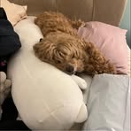 Lane Armstrong - Facebook