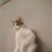 Lena Arendt - Facebook