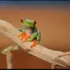 Lane_bailey - @lane_bailey - TikTok