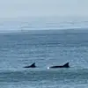 Lane Baker - @lane.baker45 - TikTok