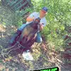 Lane Bates - @lanebates1 - TikTok