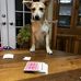 Berry Lane - Facebook