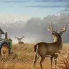 lanebotkin06 - @tt.buck6 - TikTok