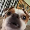 Brady - @brady_lane1 - TikTok