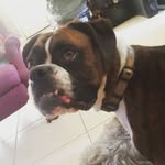 Lane Brady - @lanebrady5636 - Instagram