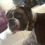 Lane Brady - @lanebrady123 - Instagram