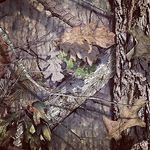 Lane Chandler - @lane_chandler_2006 - Instagram