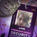 Lane Cook - Facebook
