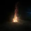 lanedavidson2 - @lanedavidson2 - TikTok