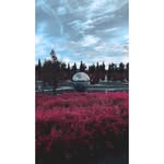 Ellis - @laneellis9pjz - Instagram