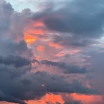 Lane Ellis - @laneellis2 - Instagram