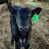 lanegoodman2734 - @lanegoodman2734 - TikTok