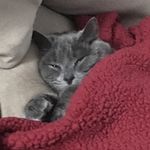 Penney Lane Goodman - @penneylanegoodman - Instagram