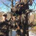 Lane Harris - Facebook