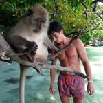 LaneHarris - @laneharris110 - Instagram