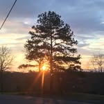 Lane Headrick - @headrick_lane - Instagram