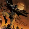 IAmBatMan - @lanehoffman__________ - TikTok