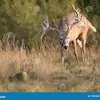 laneholmes5 - @laneholmes5 - TikTok