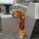 Lane Hopper - @lane.hopper - Instagram