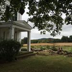 Allen - @the_lane_house - Instagram