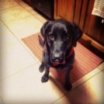 lanehouse - @lanehouse - Instagram