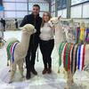 LaneHouseAlpacas - @lanehousealpacas - TikTok