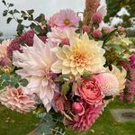 Samantha Allen  Washington county NY cut flowers - @lanehouseflorals - Instagram
