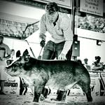 Lane Howell - @lanehowell13 - Instagram