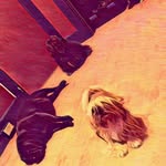 Jared Lane - @jaredlane269 - Instagram