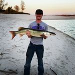 Lane Jensen - @lanejensen980 - Instagram