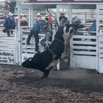 Lane Jensen - @lane.jensen59 - Instagram